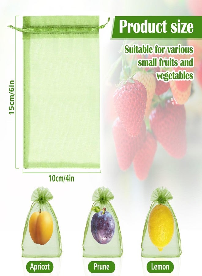FloraSea 50 PCS 4X6 inches Fruit Protection Bags, Fruit Bags for Fruit Trees, Green Netting Fruit Cover Bags Drawstring Mesh Fruit Protectors Pest Barrier for Fruit Trees Veggies Garden - Image 2